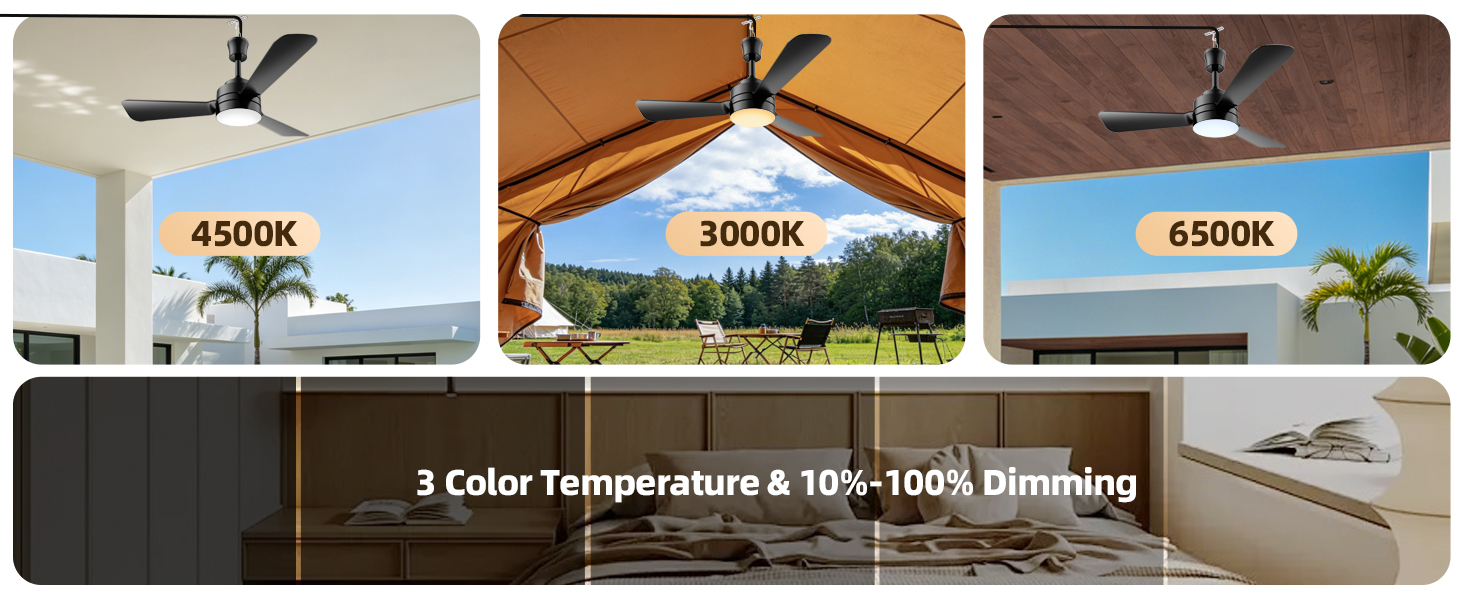 Plug in Ceiling Fan Light