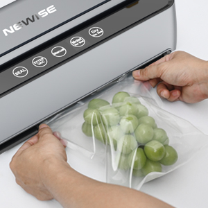 vacuum sealer