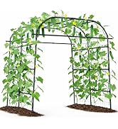 Giantex Metal Garden Arch Trellis for Climbing Plants Outdoor, 7.5FT Tall Adjustable Cucumber Tre...