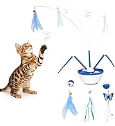 Pawingcat Automatic Cat Wand Toy Interactive Cat Toy Catnip Balls 7in1 Detachable Cat Toys for Bo...