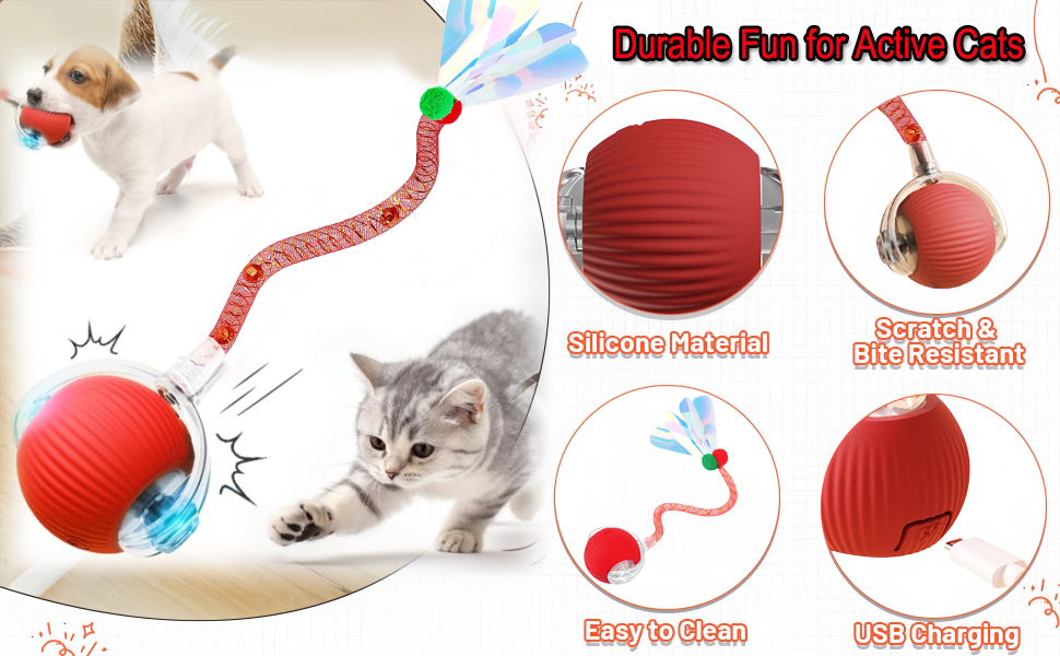 kitten toys