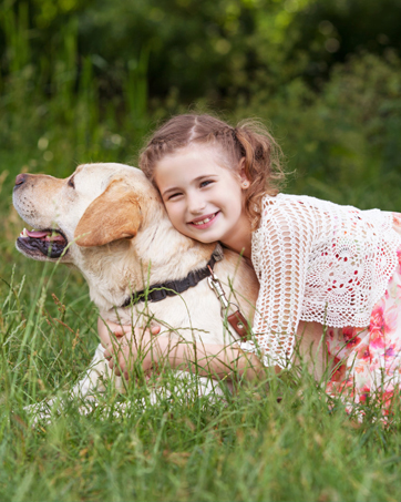 ecollar dog training collar