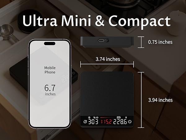 Mini Scale