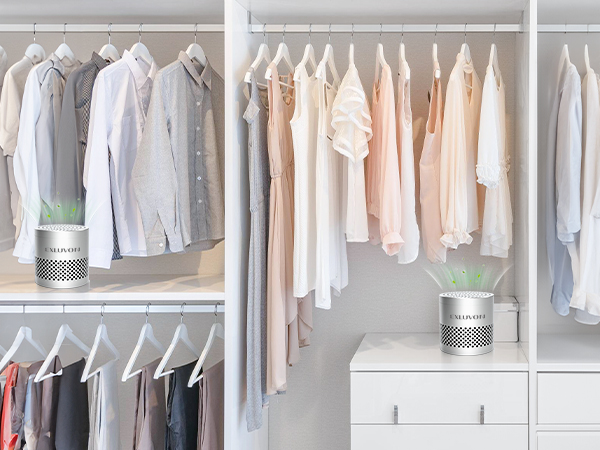 Wardrobe deodorizer
