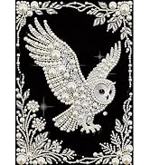 DIADAY 5D DIY Pearl Painting Kit for Adults Owl, Pearl & Diamond Art Painting Special Shape Rhine...
