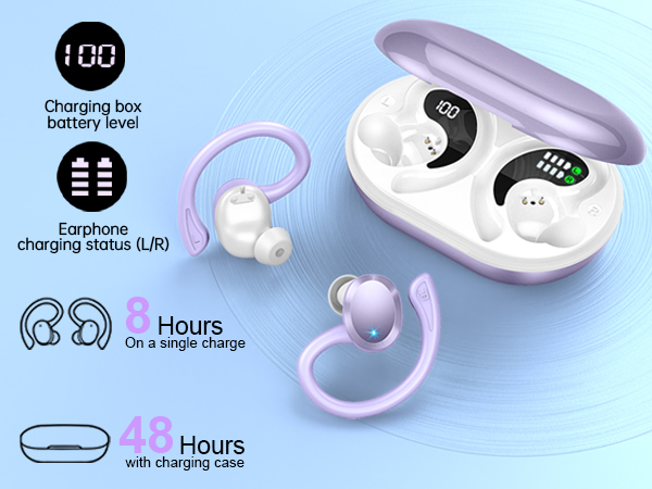 wireless earbuds with earhooks