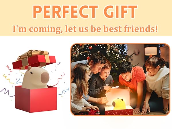 Capybara Gifts