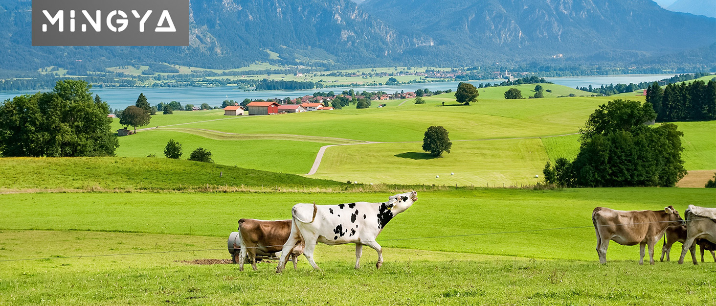 electric fencing