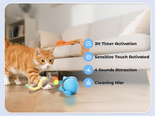 kitten toys