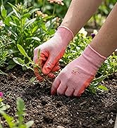 Woman gloves