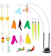 Depets Cat Wand Toy, 15 Pcs Interactive Cat Feather Toys, Cat Teaser Toy for Indoor Cats Self Pla...