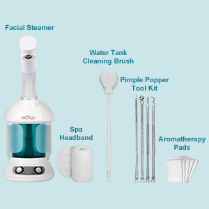 face steamer
