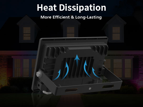 LED Flood Light
