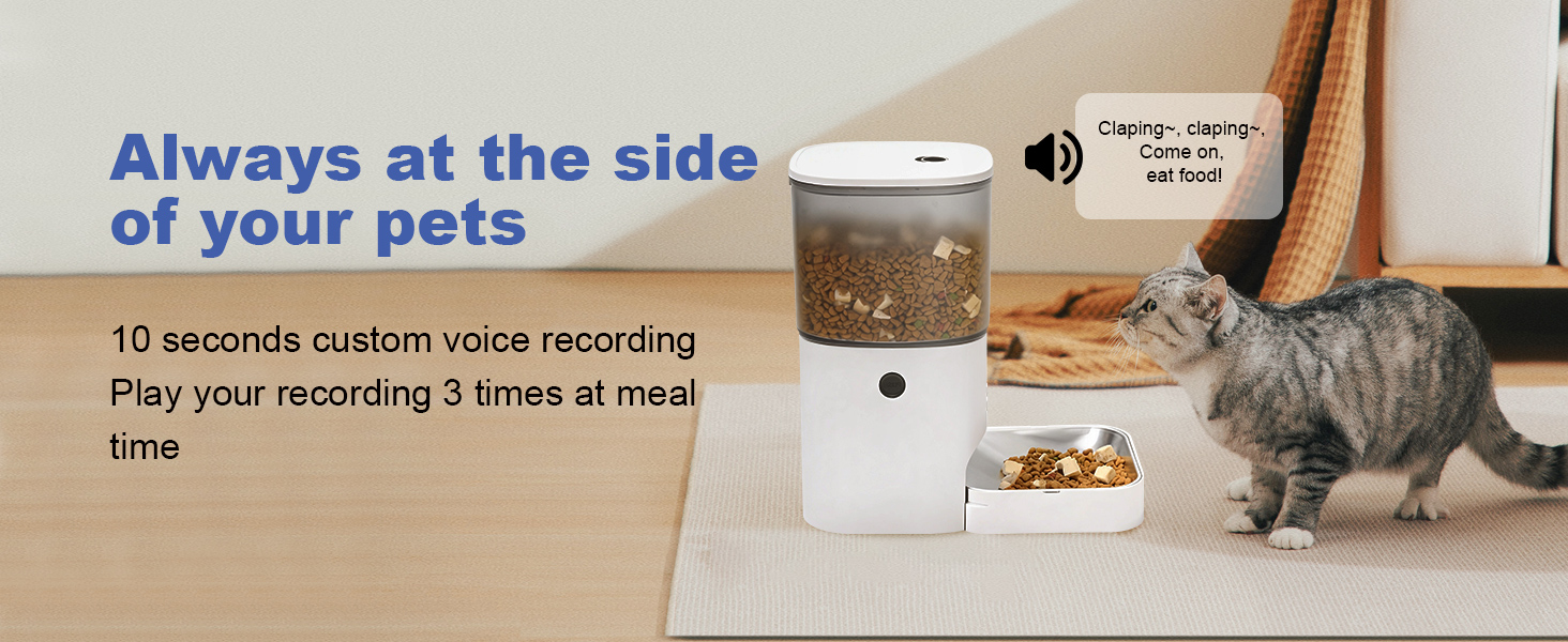 automatic cat feeder with voice call