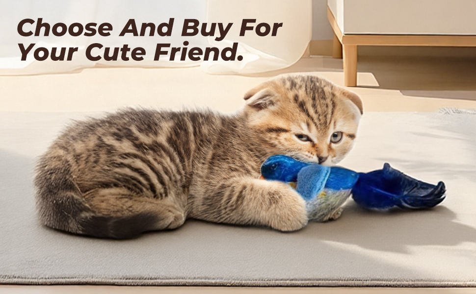 2-pack catnip cat toys that stimulate indoor cats
