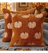 DFXSZ Fall Pillow Covers 18x18 Set of 2 Fall Decorations White Pumpkin Decor Rust Throw Pillowcas...