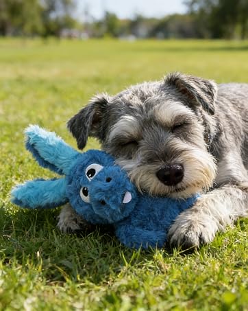 Sliwowo dog toys