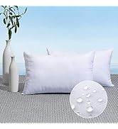 MIULEE Pack of 2 12x20 Inch Outdoor Pillow Inserts | Water-Resistant Decorative Premium Lumbar Pi...