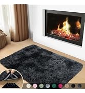 Mugorn 2x3 Rugs for Bedroom, Fluffy Area Rugs for Living Room, Soft Shag Kids Rug Small Carpet wi...