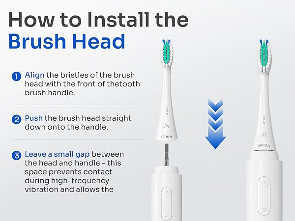 SEIGA Sonic Electric Toothbrush for Adults_A+_06_02
