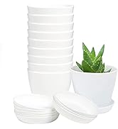 TDHDIKE 10 Pcs Plastic Planters Indoor Flower Plant Pots, Mini Flower Seedlings Nursery Pot/Plant...