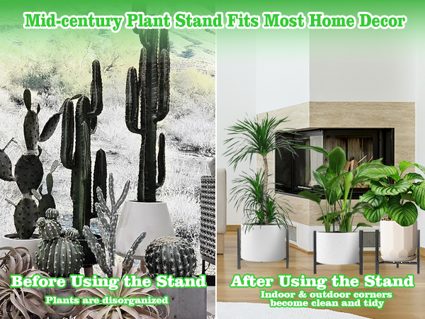 after using plant stand