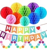 ZJHAI Happy Birthday Banner Decorations, Rainbow Birthday Decorations Set, Paper Flags with 9 Hon...