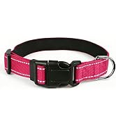 2026 Upgrade Basic Dog Collar, Reflective Dog Collar, Quick Release Soft Comfortable Dog Collars,...