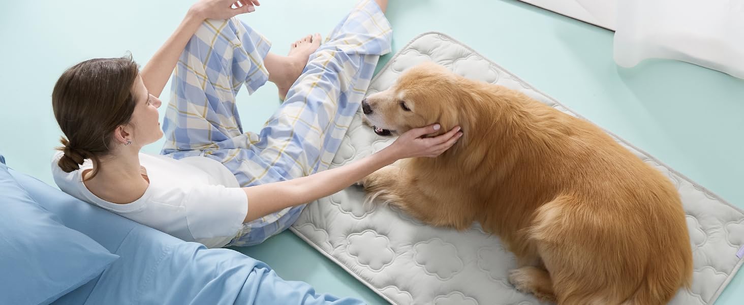 Play without heat with Lesure Cooling Dog Bed