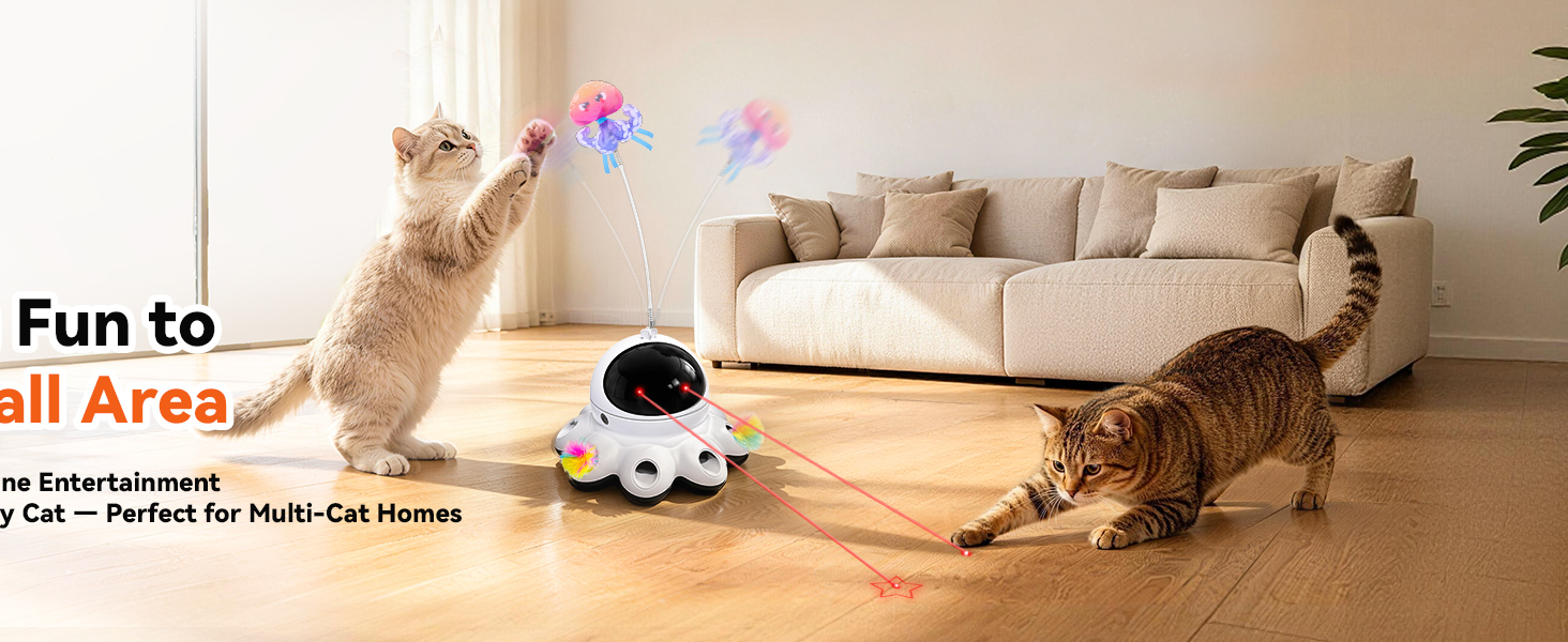 interactive cat toys