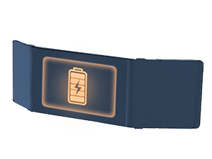 Large Capacity Battery