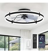 ZMISHIBO 24 Inch Ceiling Fans with Lights and Remote, Modern Low Profile Ceiling Fan, 3000-6000K ...