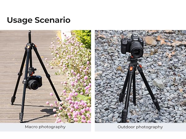 63" Aluminum Travel Tripod for Camera with Phone Holder