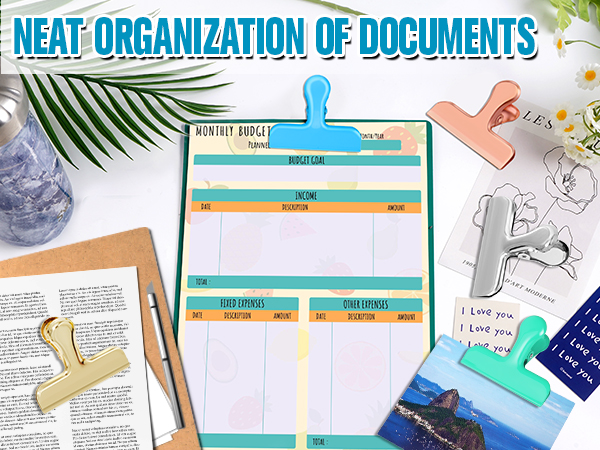 ORGANIZES DOCUMENTS