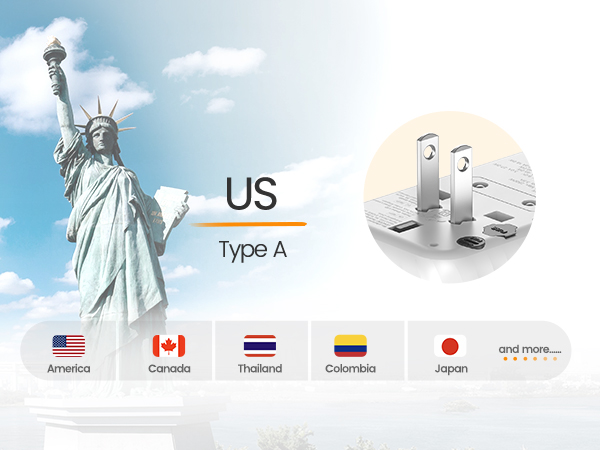 Type A - USA/Japan