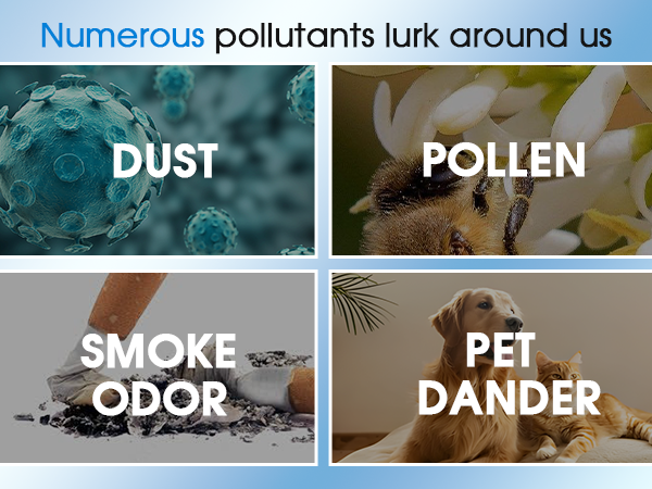 air purifier for bedroom
