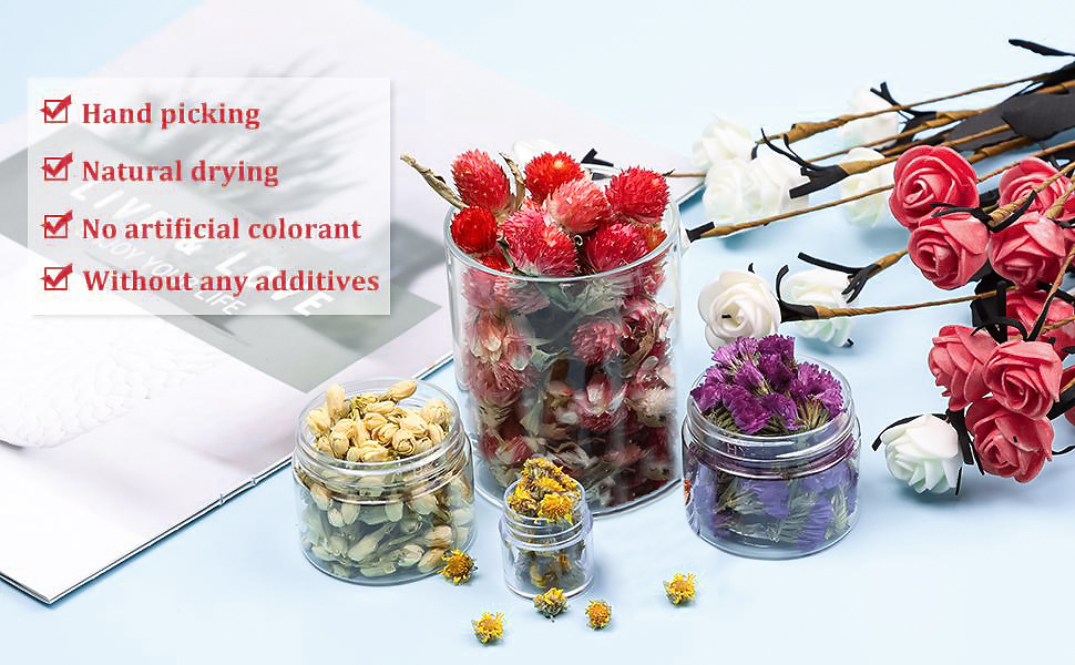 Natural Dried Flowers Kit