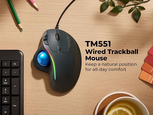 trackball mouse