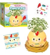 Creativity for Kids Plant-a-Pet Barnyard Pig Kit | Decorate, Plant & Grow Your Own Pet | Chia See...