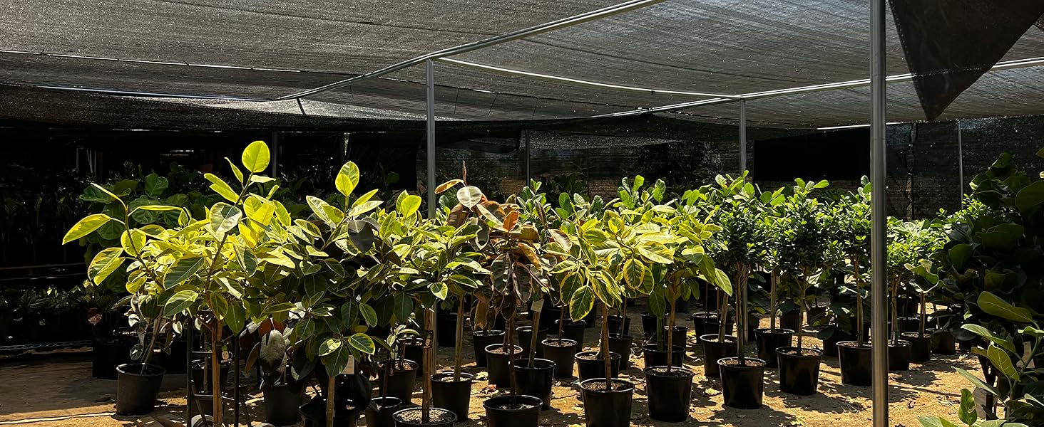 Nursery shading