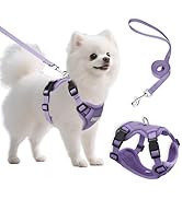 Small Dog Harness and Leash Set, Reflective Soft Breathable Mesh Vest, 3 Buckles, Adjustable Neck...