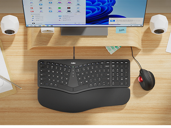 Ergonomic Keyboard