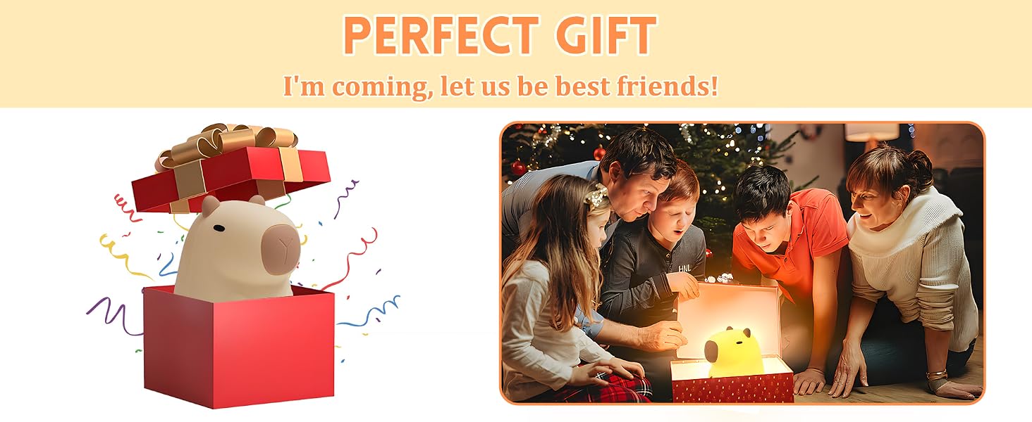 Capybara Gifts