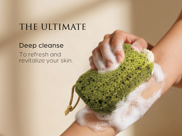 Exfoliating sponge