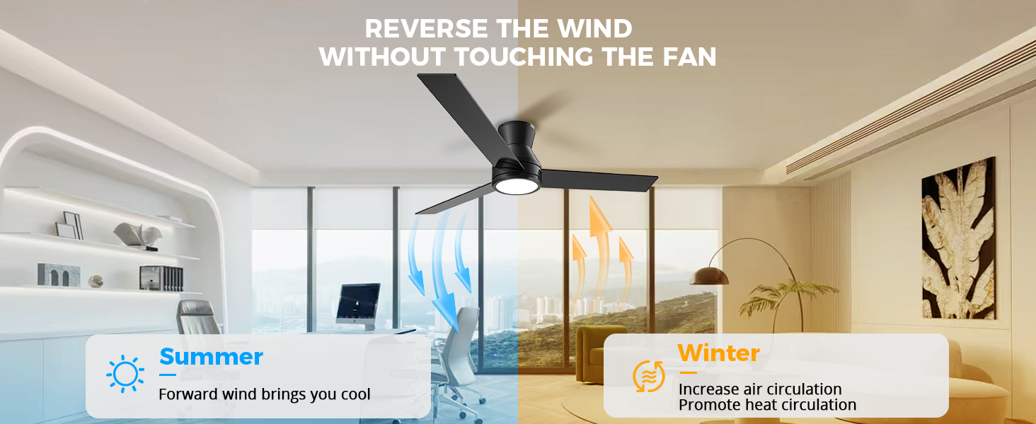 Ceiling Fans with Lights