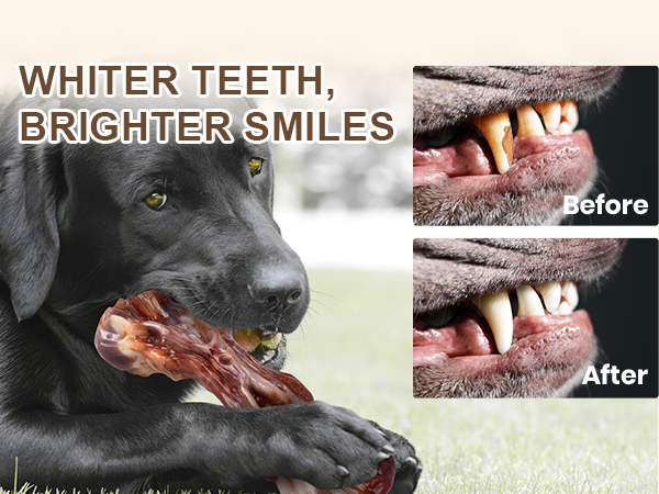 chew toys for dogs