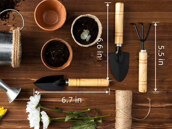 Succulent Tools