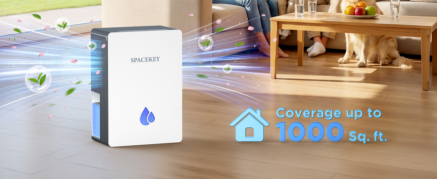 high efficiency dehumidifier for large rooms 1000sq.ft