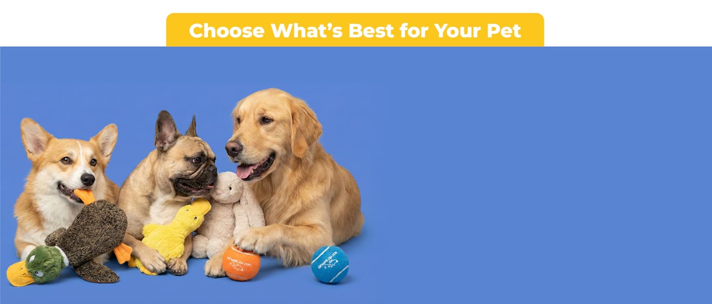 best pet supplies