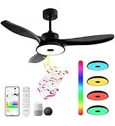 BAYSQUIRREL Flush Mount Ceiling Fan with Lights,Bluetooth Ceiling Fan with Speaker and Remote/APP...